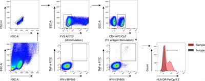 Combination of HLA-DR on Mycobacterium tuberculosis-Specific Cells and Tuberculosis Antigen/Phytohemagglutinin Ratio  for Discriminating Active Tuberculosis From Latent Tuberculosis Infection